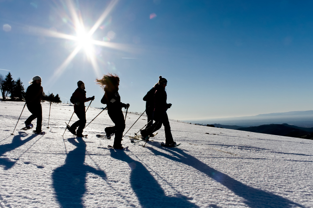 Winter Sonne und Landschaft 1000x667